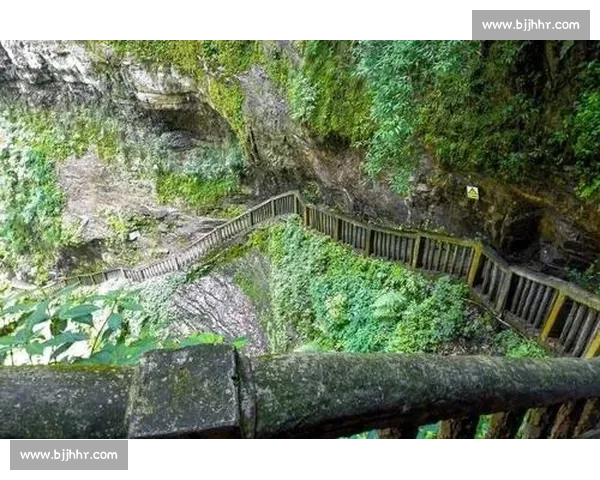 央视盯上开阳猴耳天坑!出片率 90%,这 “飞翔” 太上头